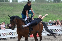 04.08.2022, 538. Cranger Kirmes 2022, Pferdemarkt zur Cranger Kirmes 2022. Bild: +Impressionen vom Pferdemarkt im Rahmen der 583. Cranger Kirmes 2022+ - Foto: Björn Koch