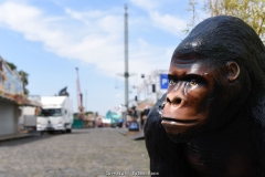 Impressionen vom Aufbau der 583. Cranger Kirmes 2018 - Foto: Björn Koch