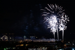 Eröffnungsfeuerwerk der 581. Cranger Kirmes.